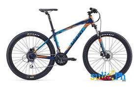 Giant Talon 4