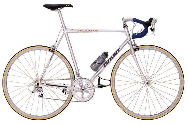Giant Peloton 8200  with Alex Rims, Carbon front fork and Shimon RSX Groupset. 