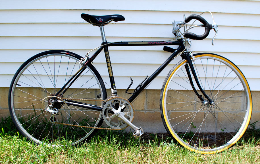 Schwinn World Sport
