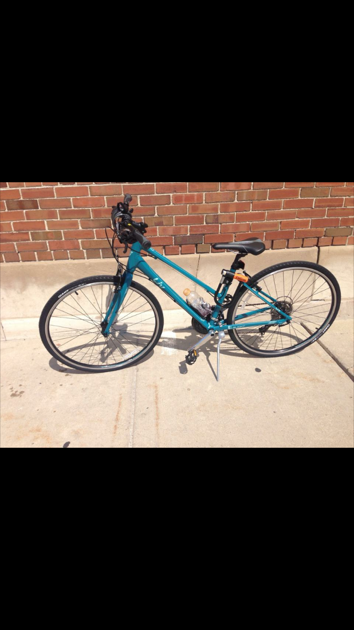 2014 Giant Alight