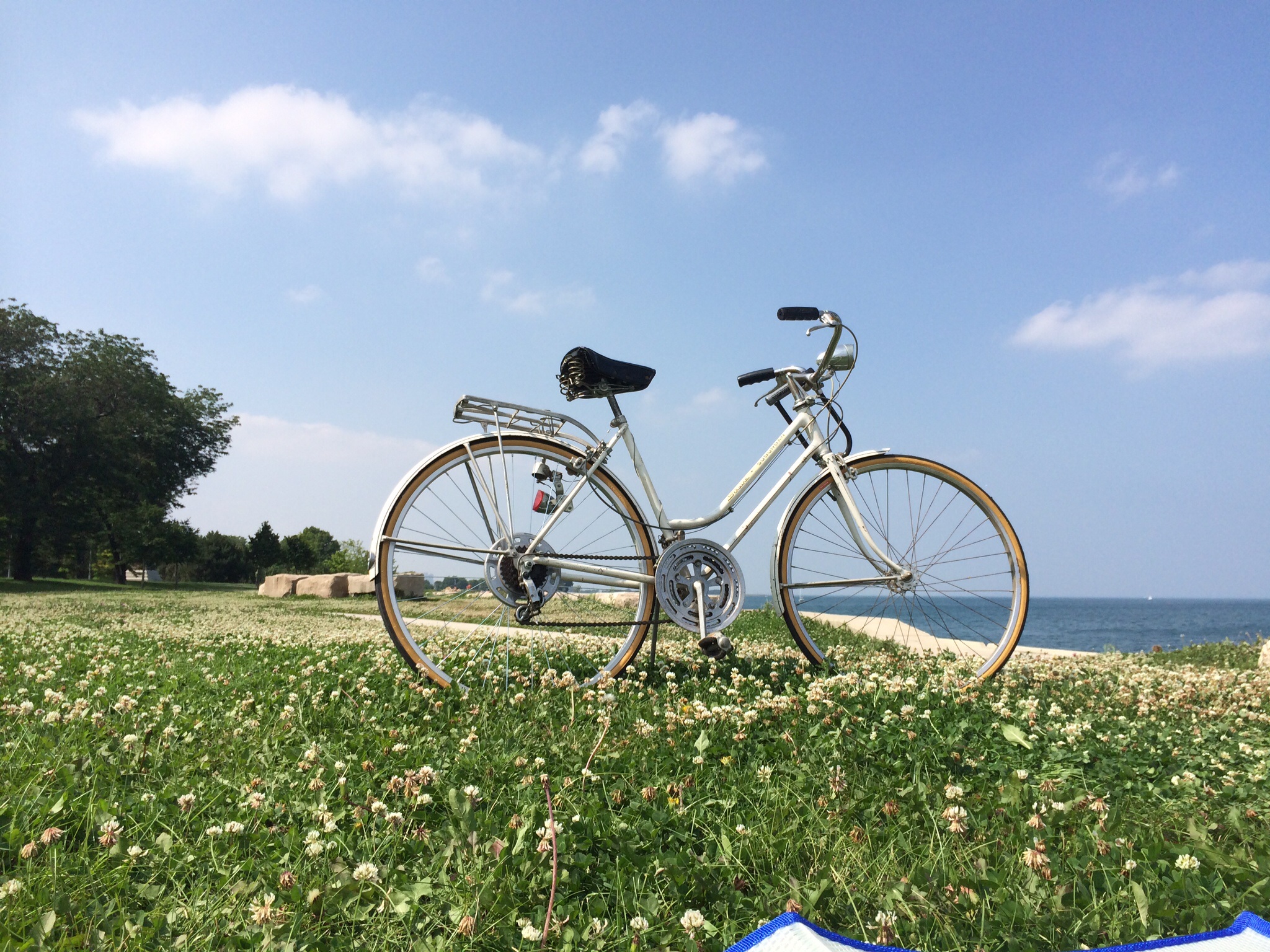 Schwinn Suburban 