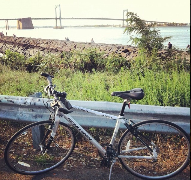 Schwinn