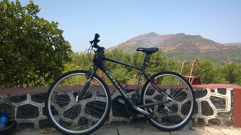 Cannondale Quick 5