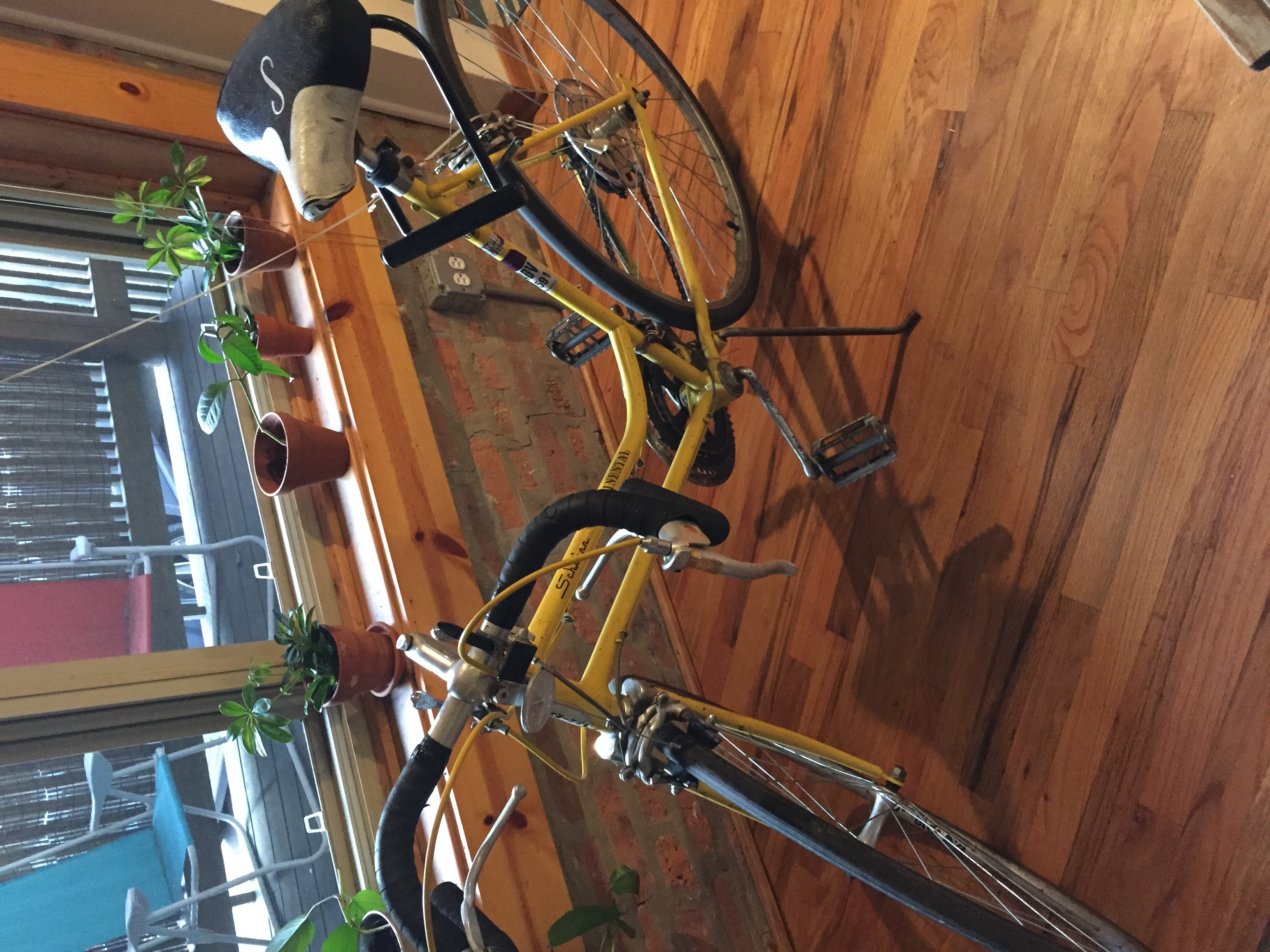 Schwinn Continent