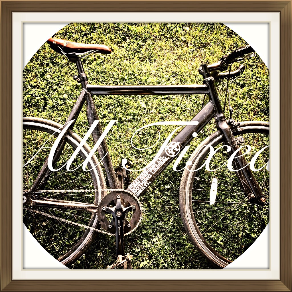 EIGHTINCH aluminum frame (custom bike)