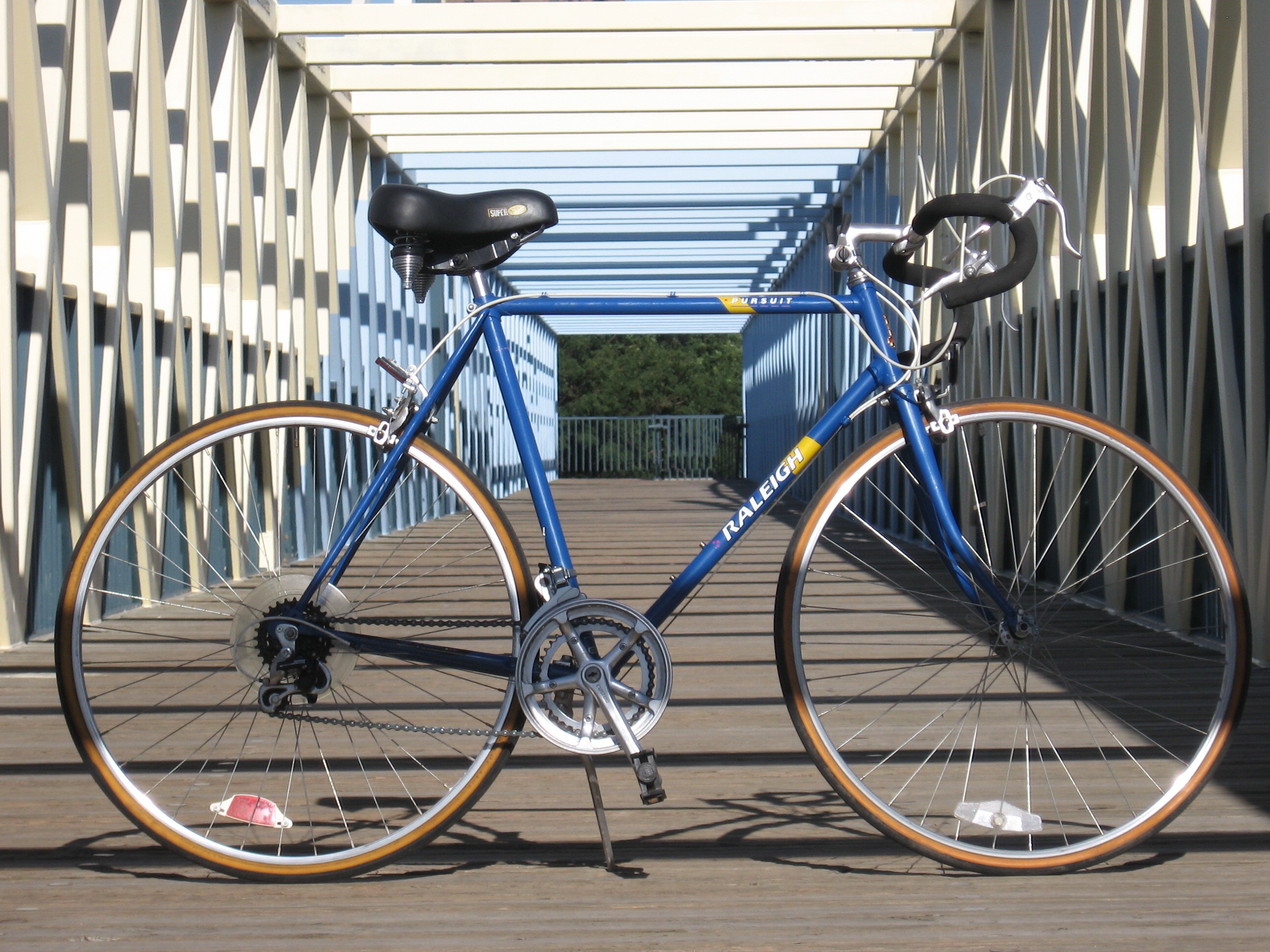 Raleigh Pursuit