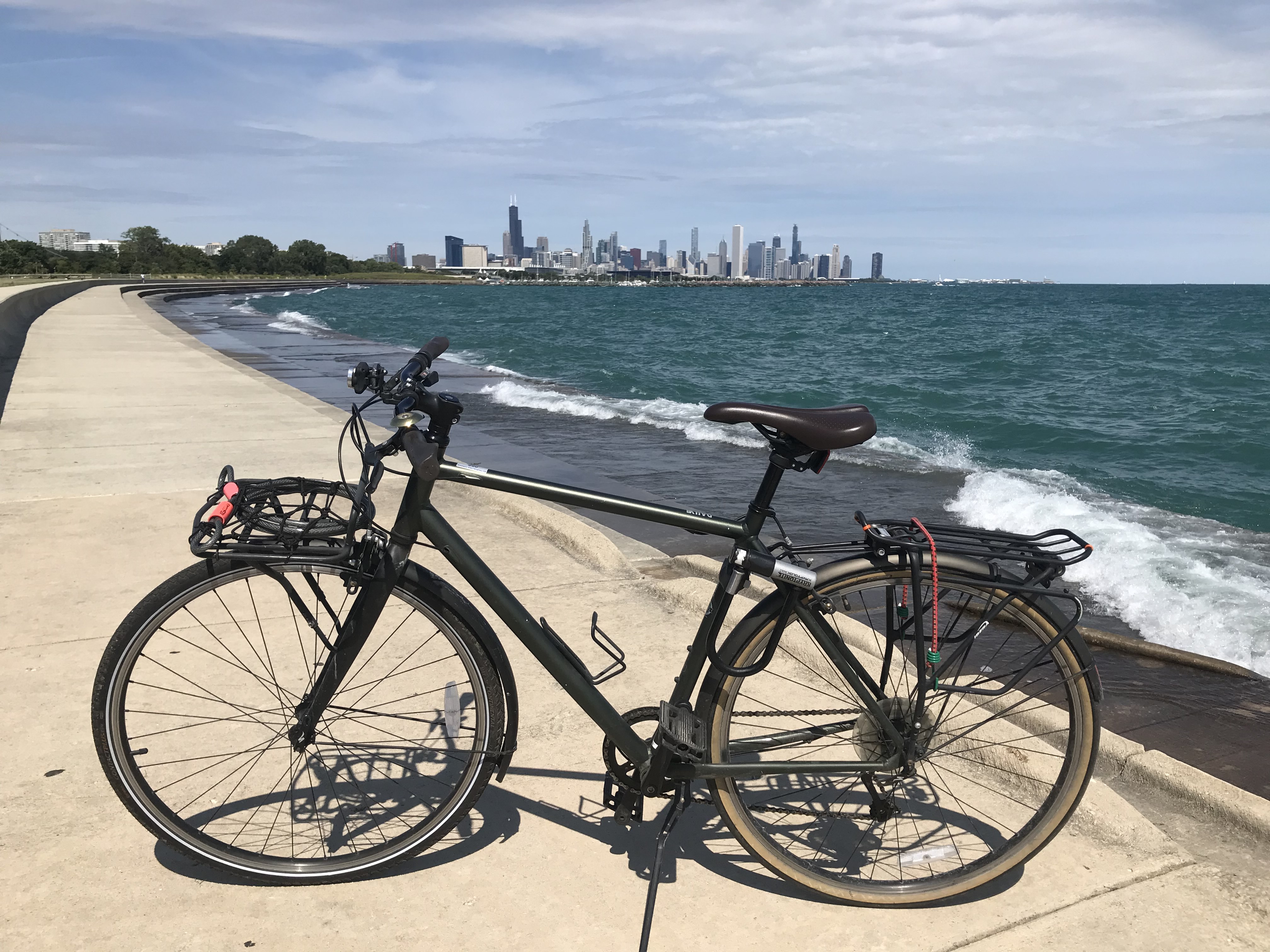 Specialized - Daily Sport