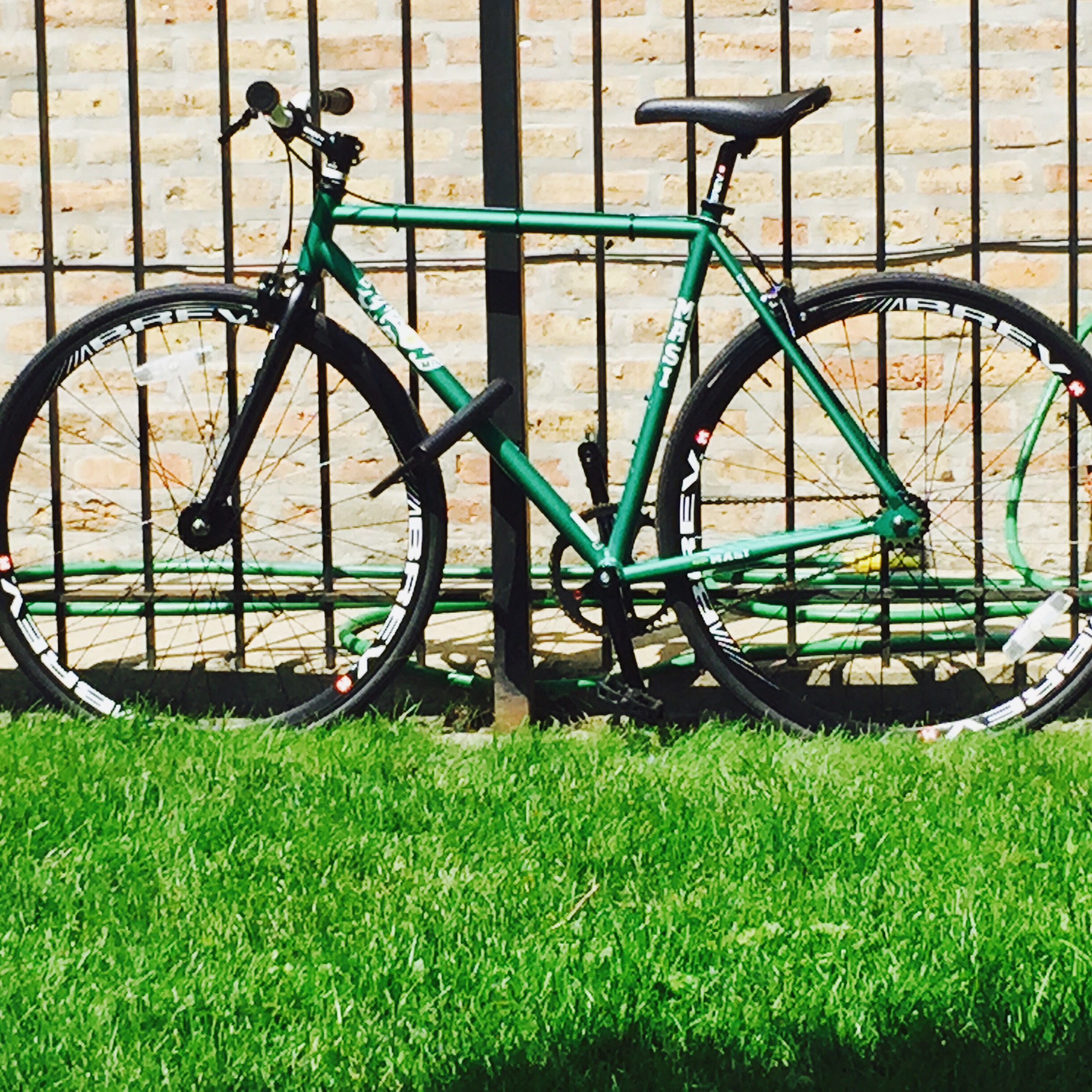 Masi fixed uno riser