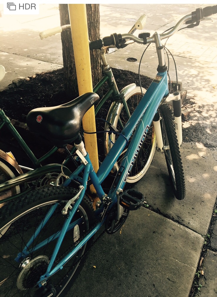 SCHWINN 