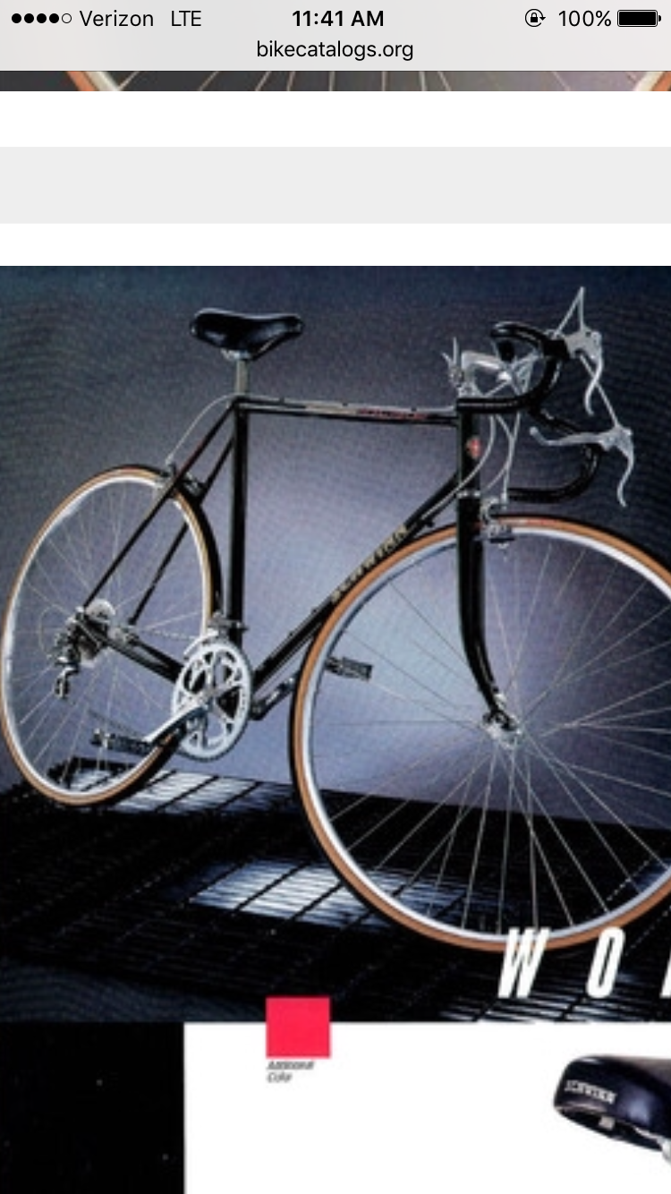 1987 Schwinn World Sport