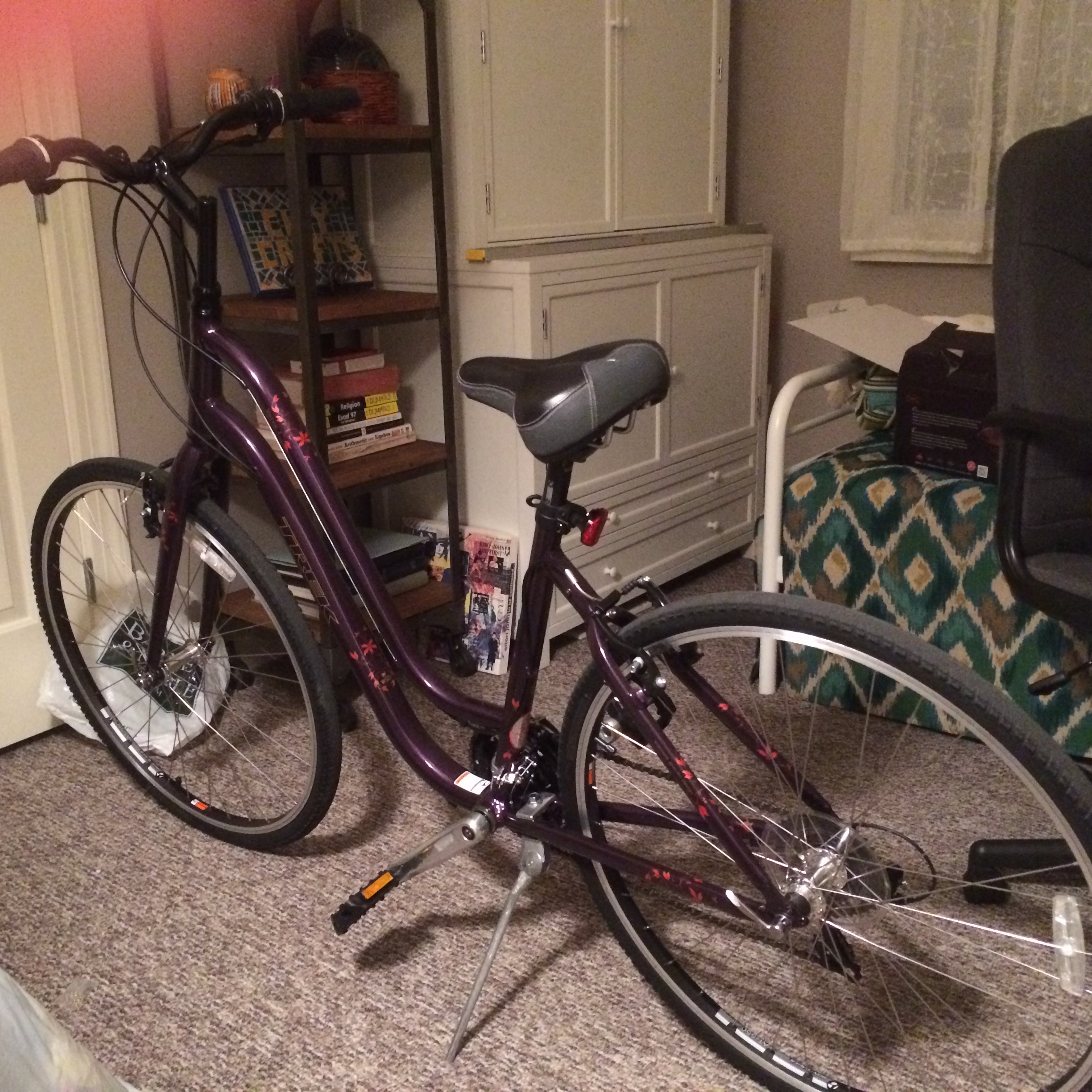 Trek Verve 1