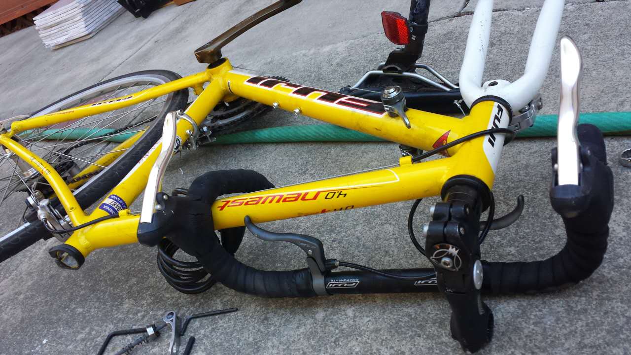 Fuji. Newest
