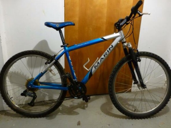 Marin hill hawk