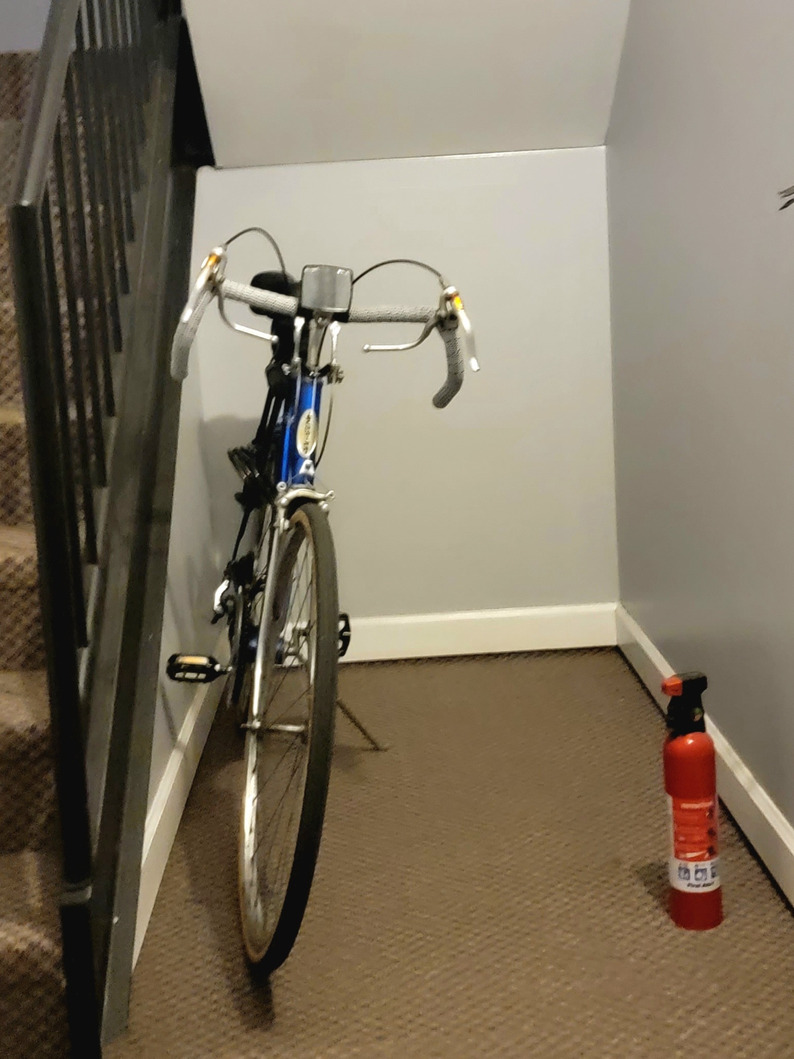 Schwinn Continental II