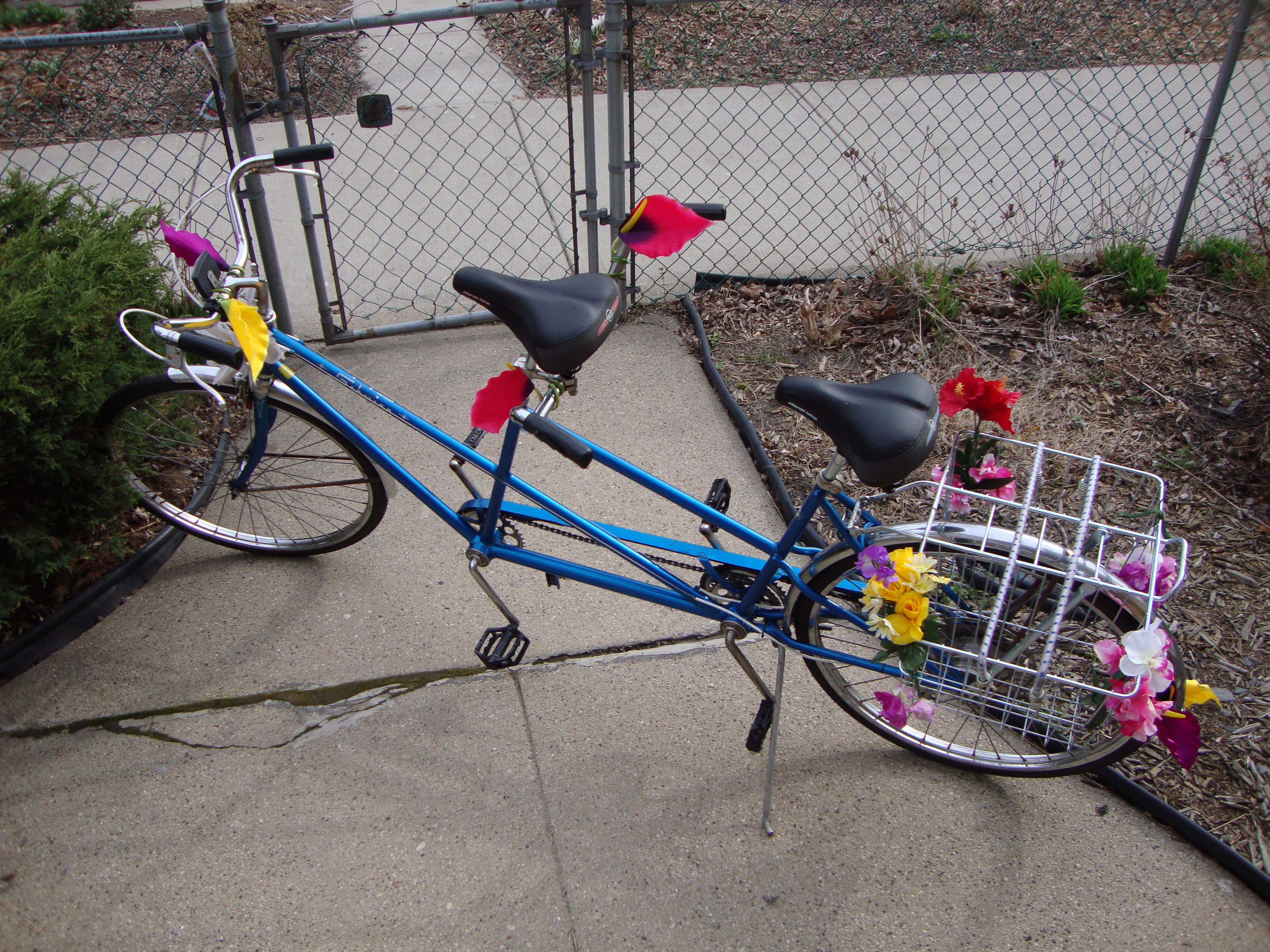 Schwinn Twin Tandem