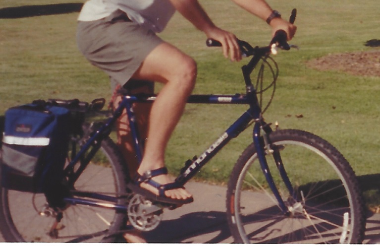 Cannondale M300
