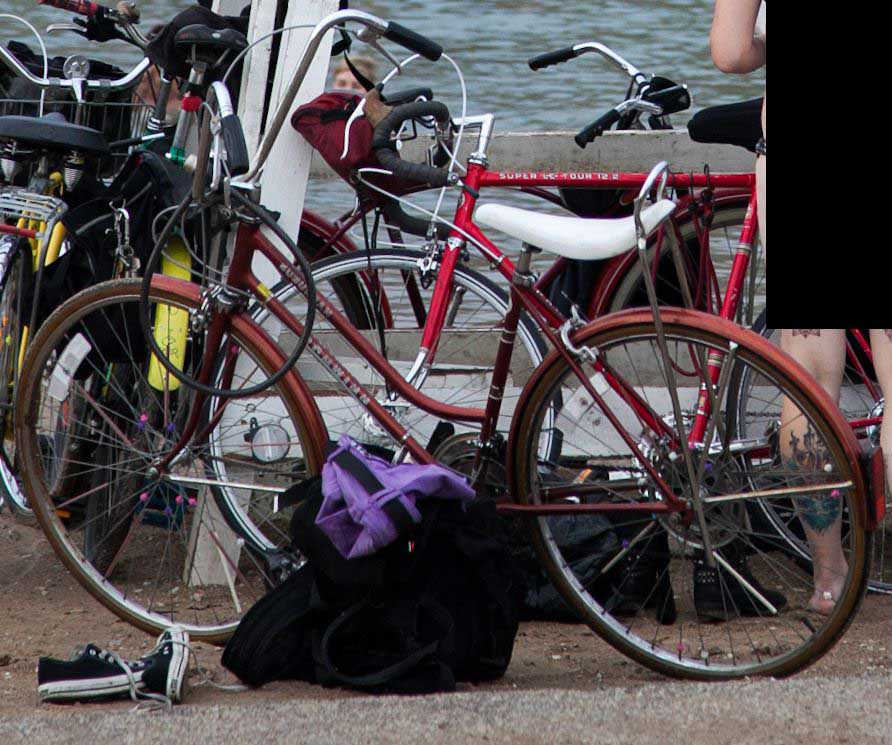 Ladies Schwinn Suburban 