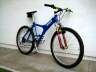 MOUNTAIN  CYCLE, MOHO