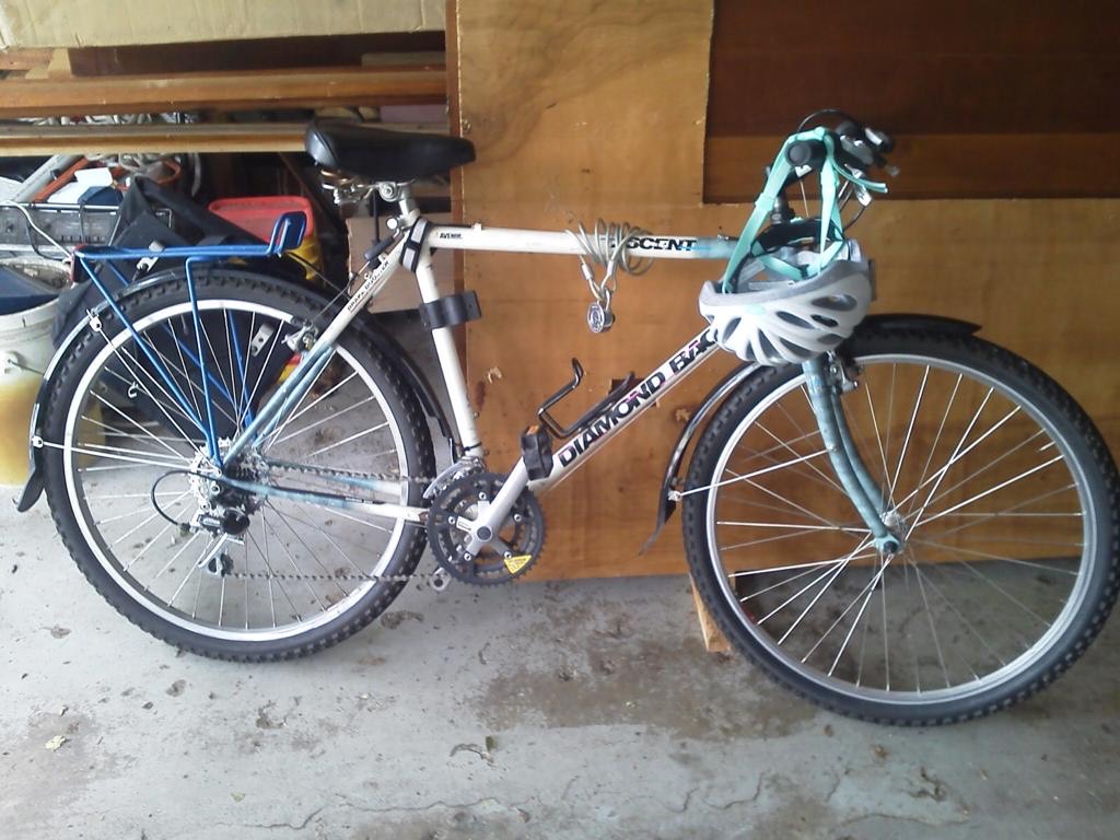 Diamondback Ascent