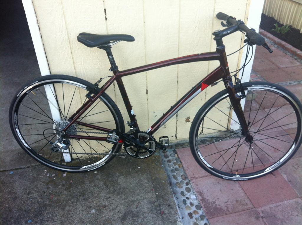 Fuji Absolute 1.3