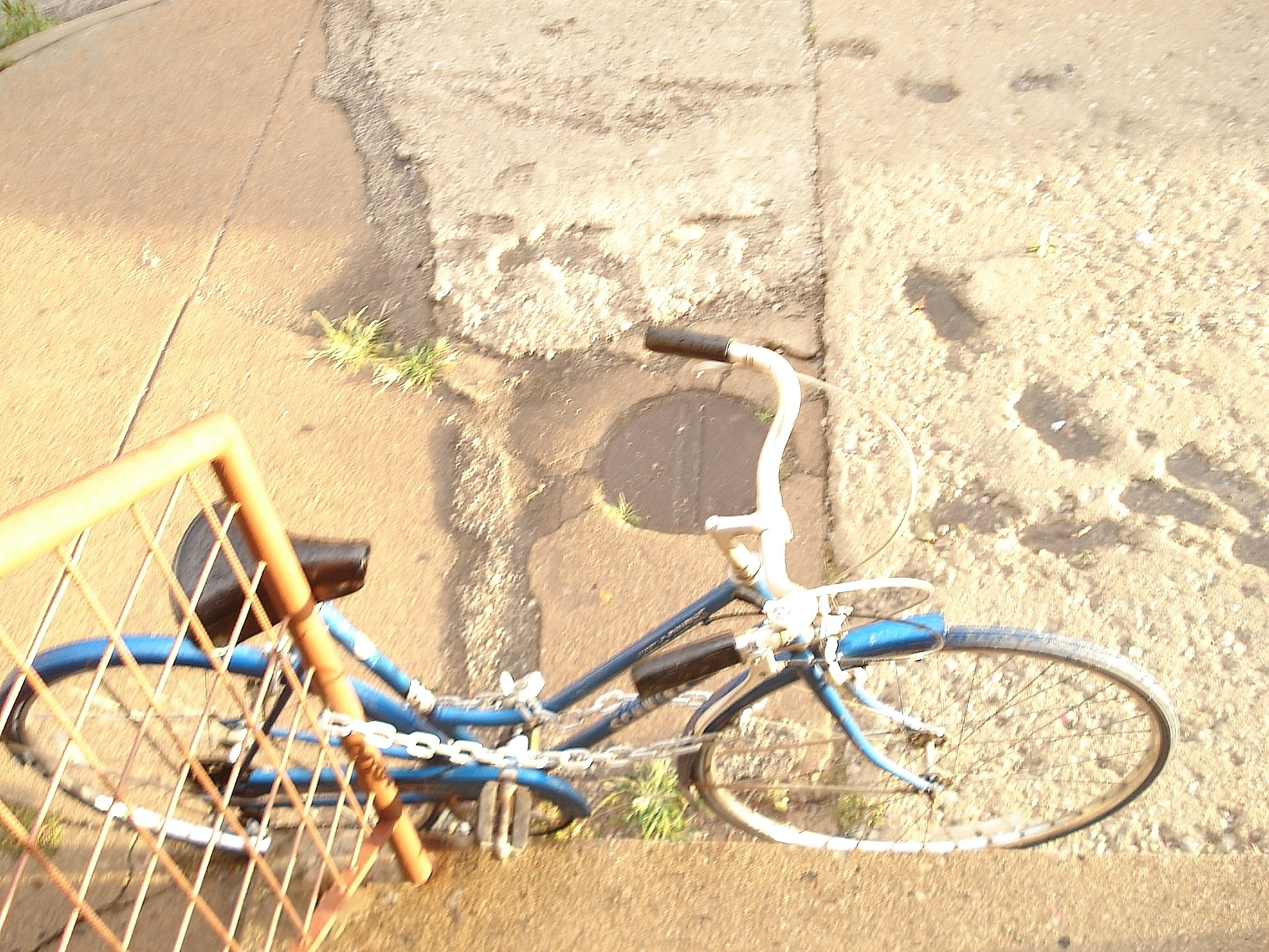Schwinn World Tourist