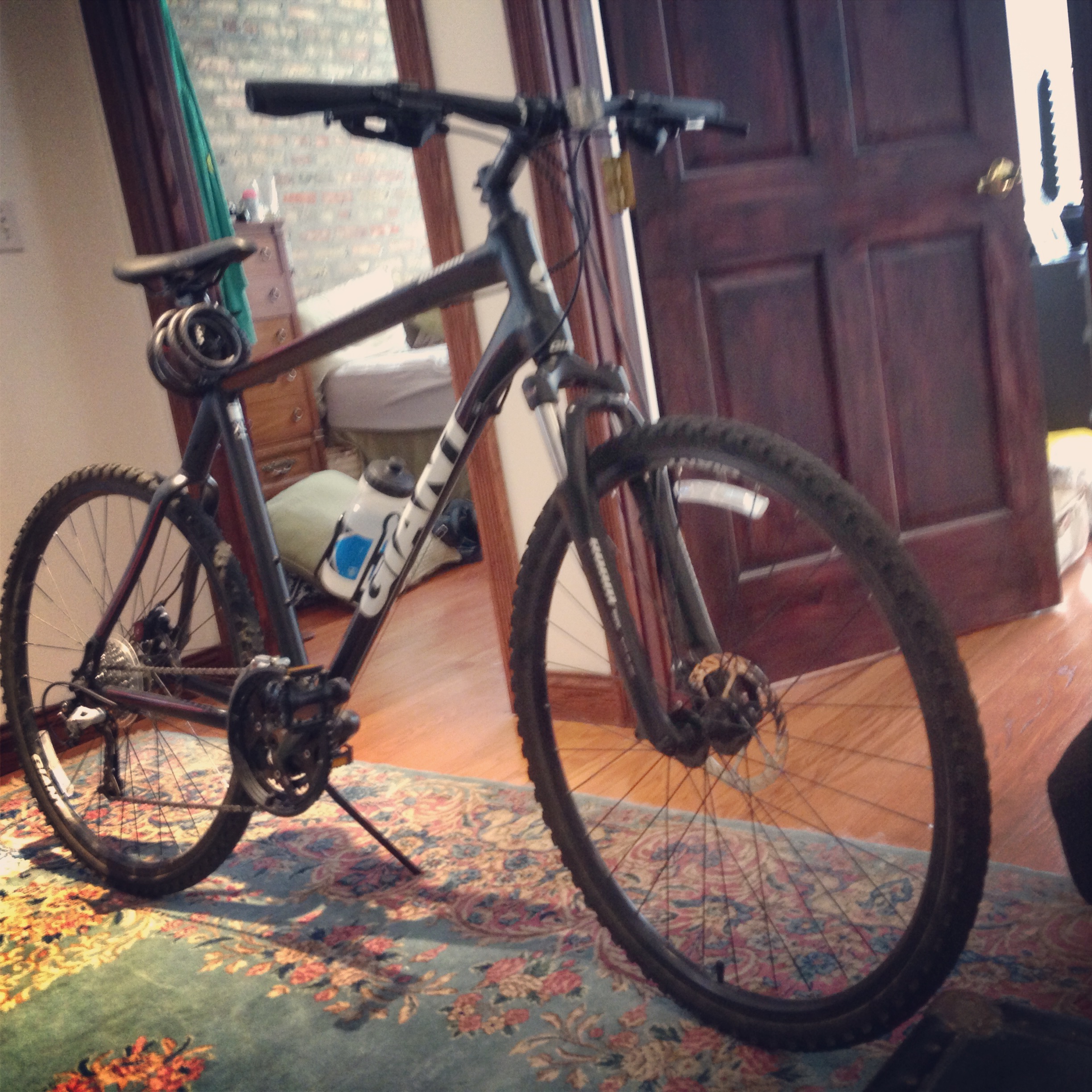 Giant Roam XL Men's Bike