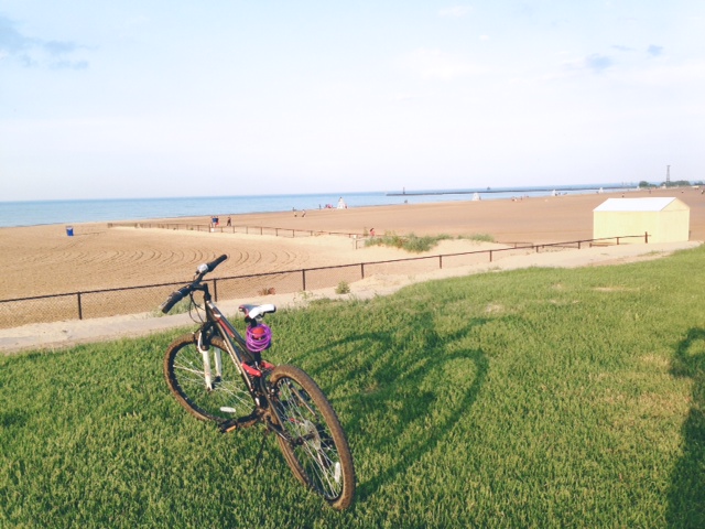 26" Mongoose Ledge 2.1