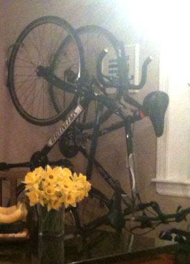 Specialized Langster 