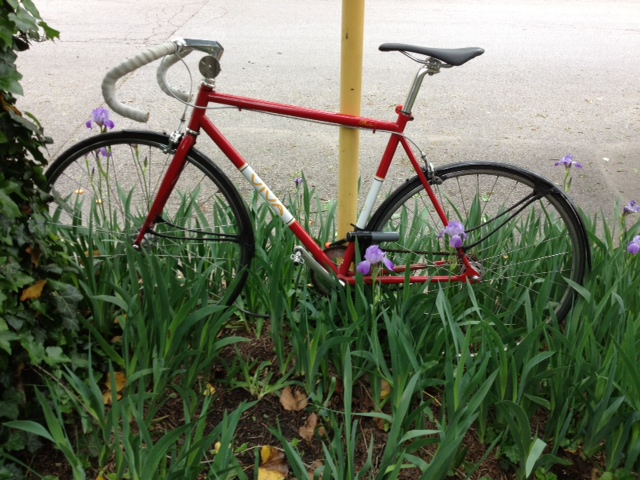 2012 VIVA PISTA