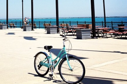 Schwinn Cruiser