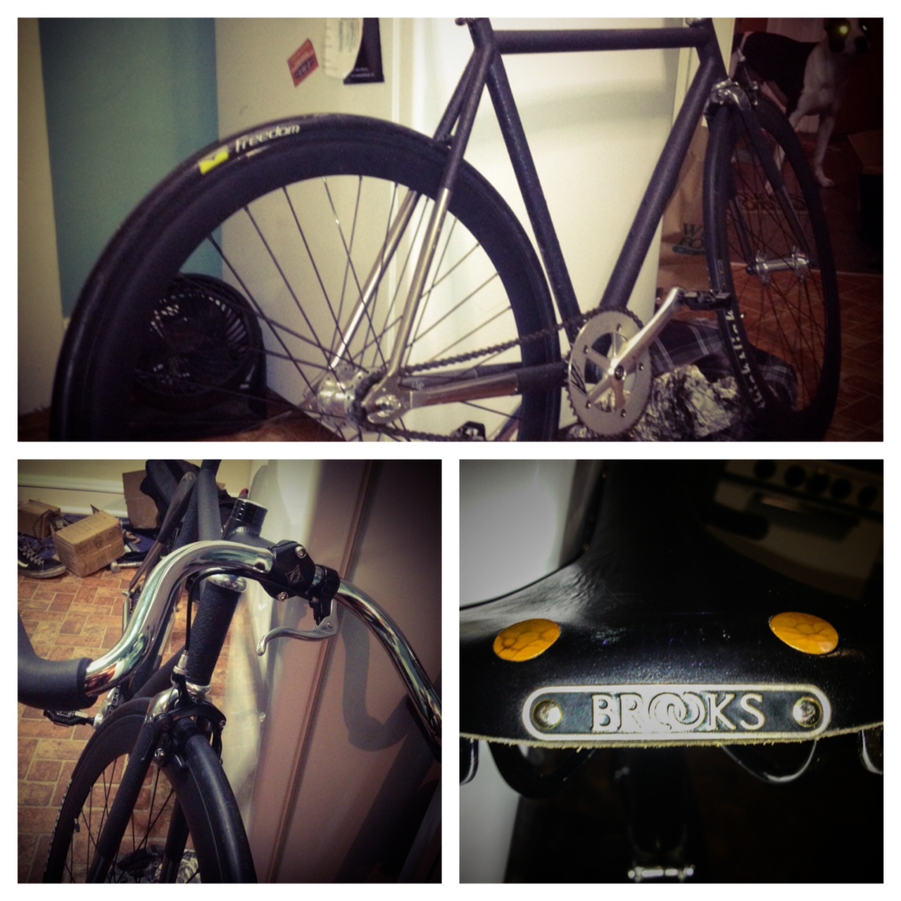 Schwinn Madison