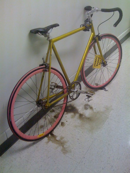 Gold Mercier frame, pink Velocity deep-v wheels