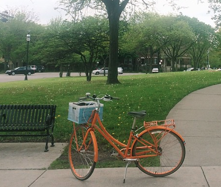 Public Bikes C7 or C1 