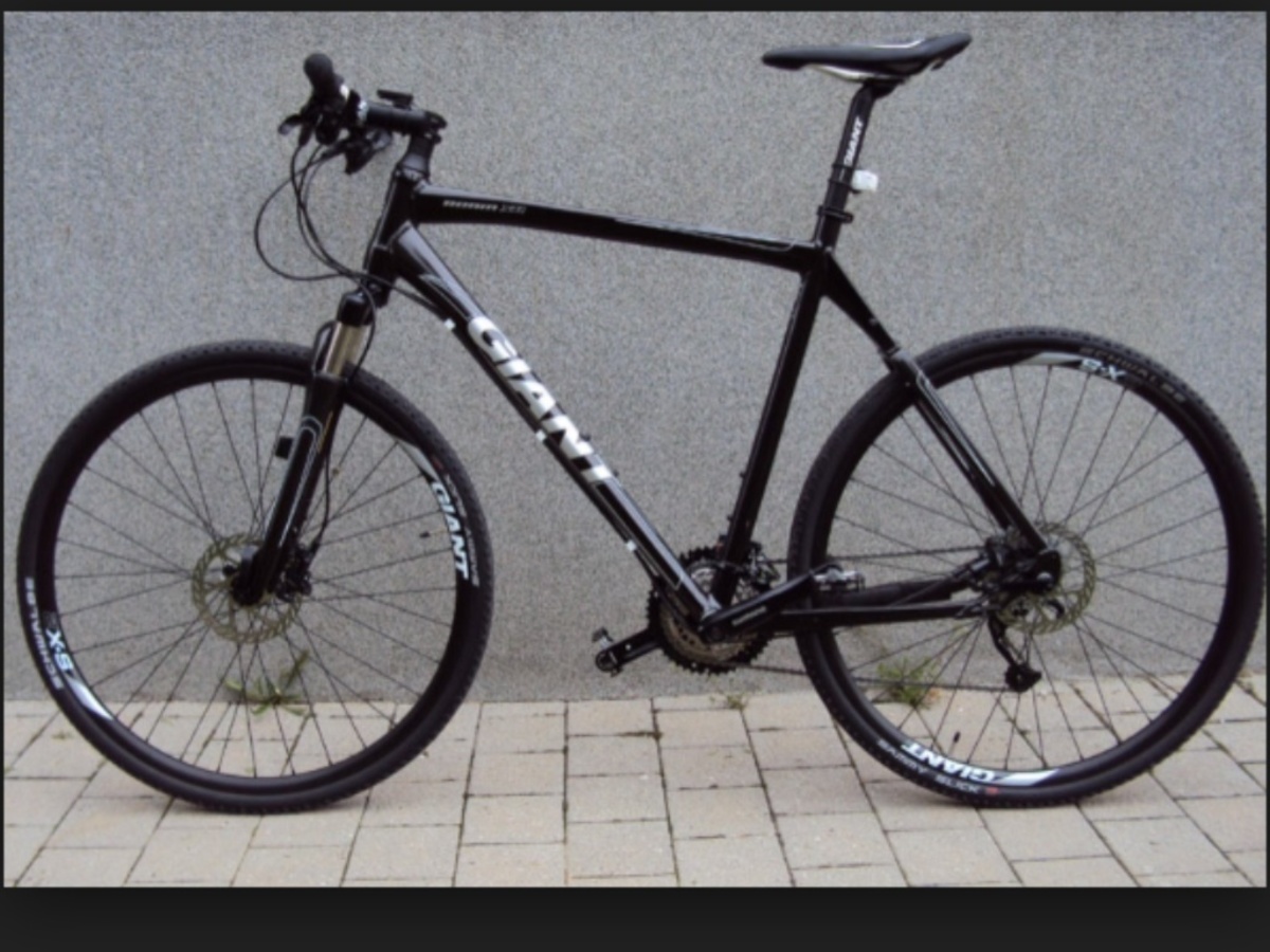 Giant Roam 1