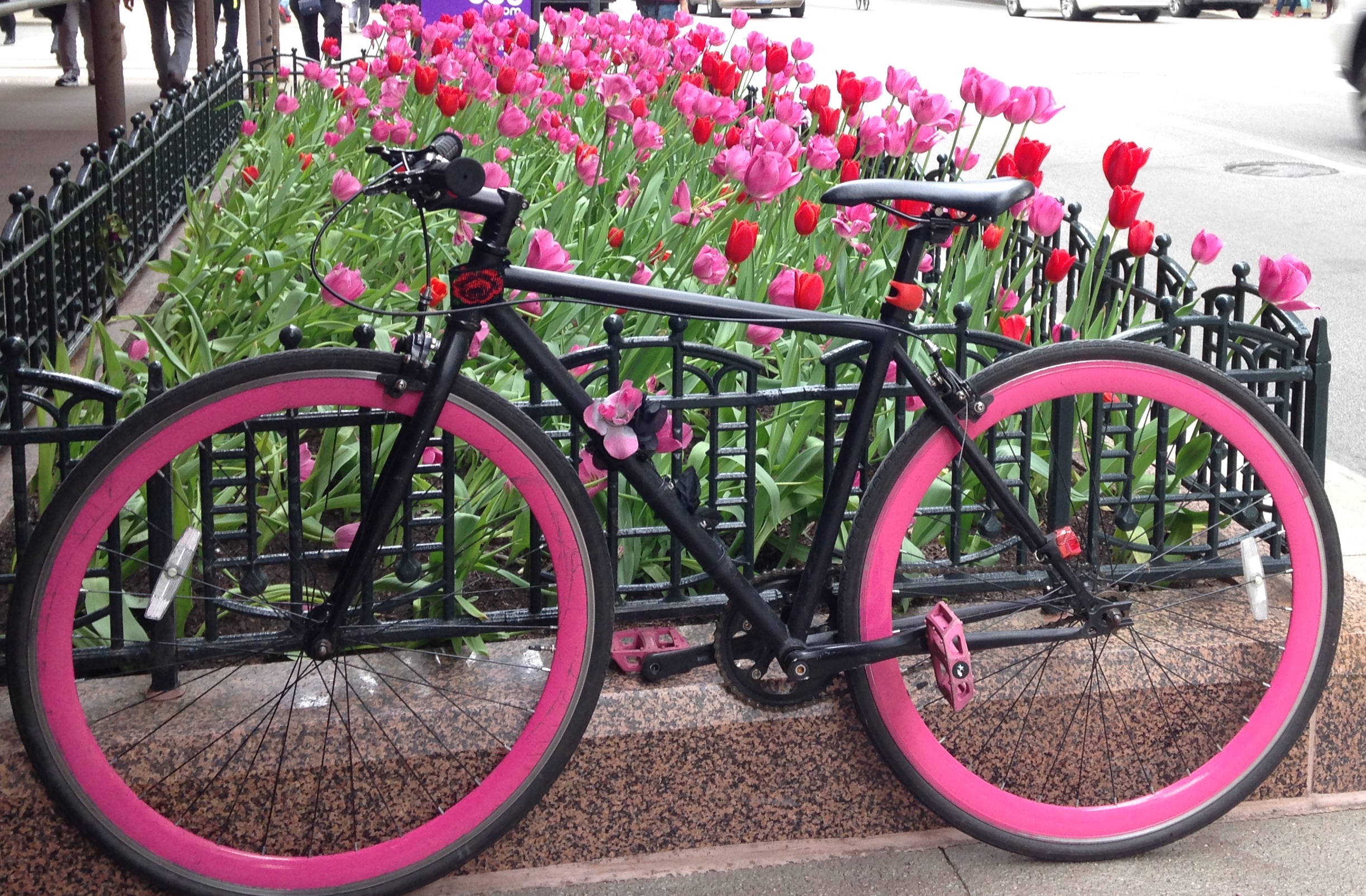 SKU fixed, single gear