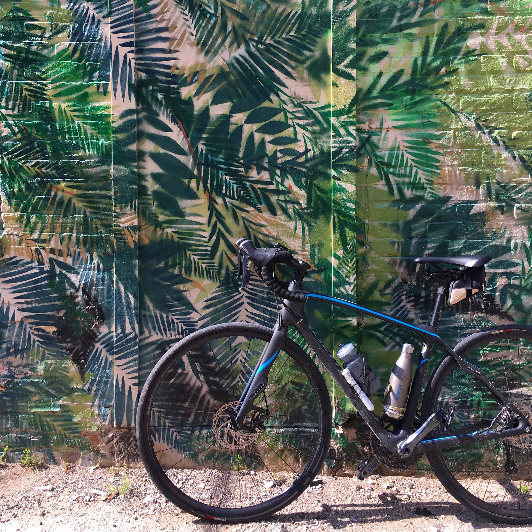 Specialized 2016 Ruby Disc