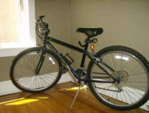 Schwinn Frontier