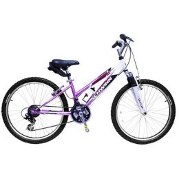 Schwinn 24" Ranger