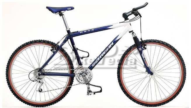 1999 Schwinn Moab 3
