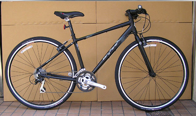 2008 Women's Gary Fisher Wingra Hybrid 