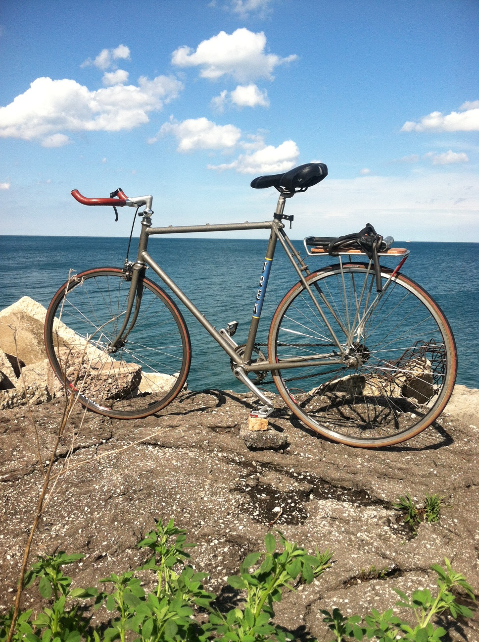 1982 Trek 613 