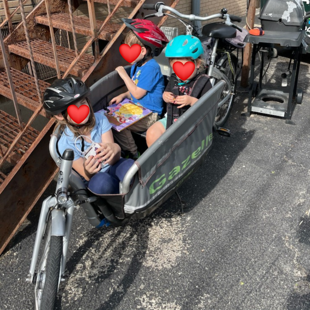 Gazelle Cabby Cargo Bike