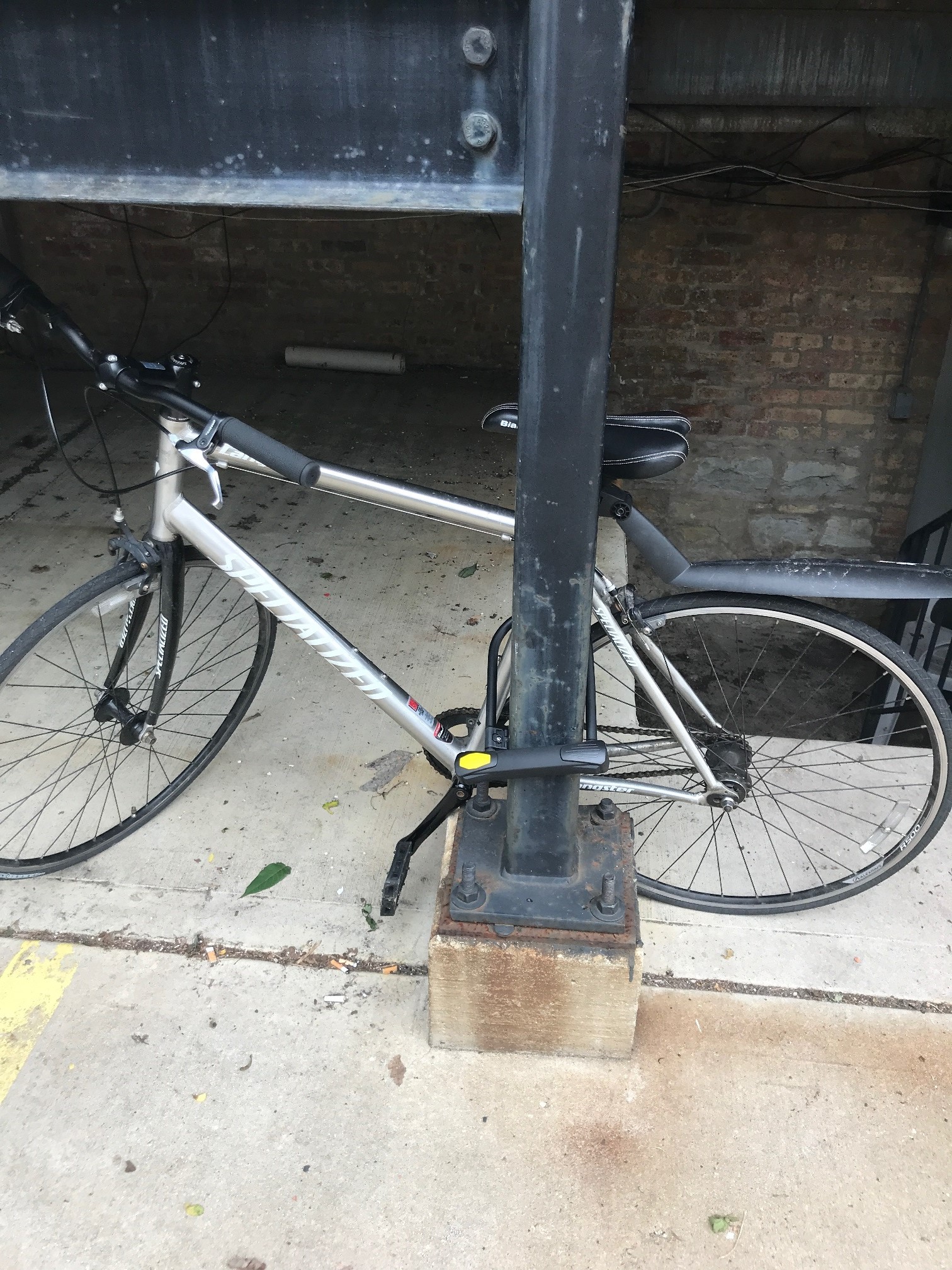 Specialized Road bike