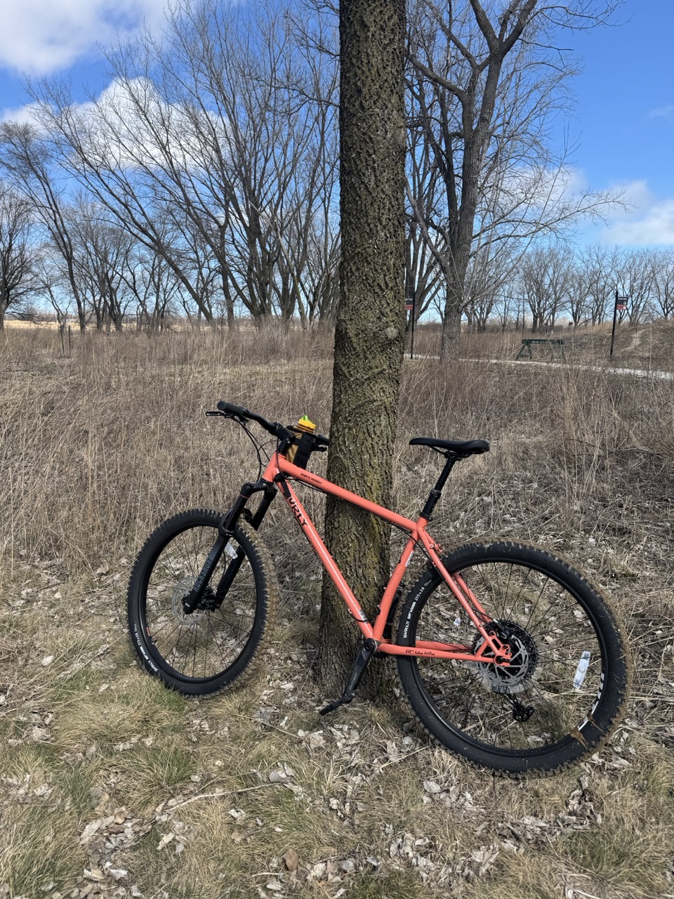 Surly Karate Monkey