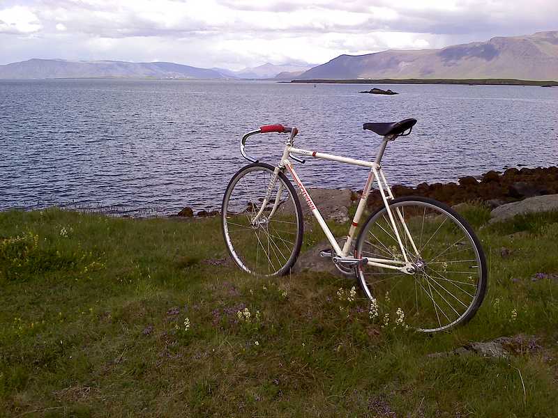 1985 Schwinn Madison