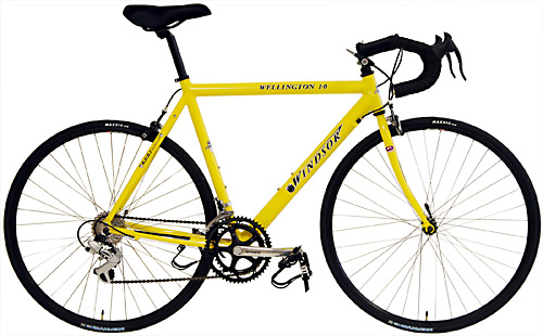 Windsor Wellington 1.0