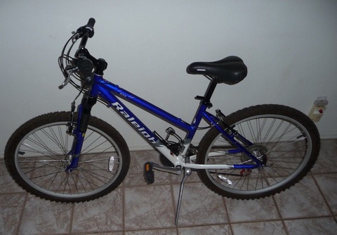Raleigh M20