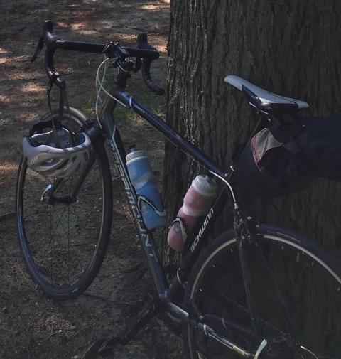 Schwinn Paramount Series 5