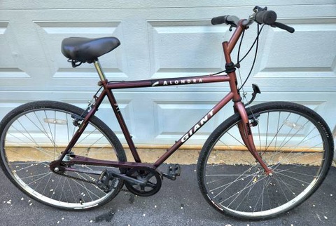 Alondra Giant 1995 3 Speed