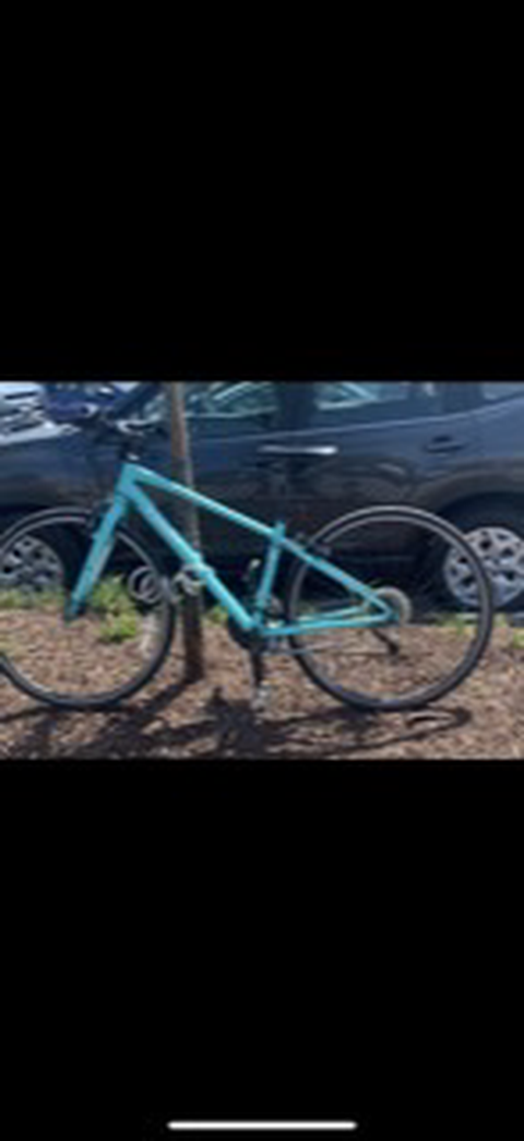 Trek 7.3 FX WSD
